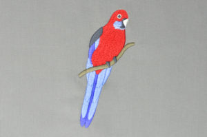 Read more about the article Crimson Rosella