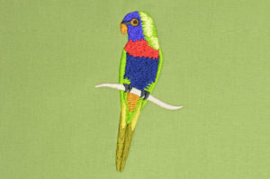 Read more about the article Rainbow Lorikeet
