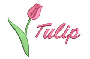 Read more about the article 3D Tulip