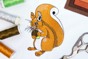 Read more about the article Cyril the Squirrel