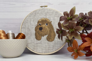 Read more about the article Furry Dog